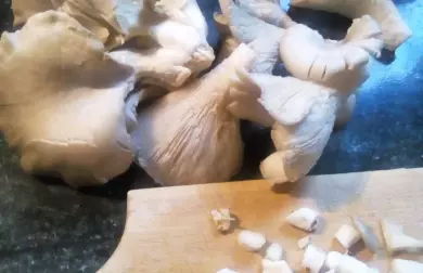 Vepřové plátky na hlívě ústřičné