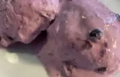 Borůvková low carb zmrzlina