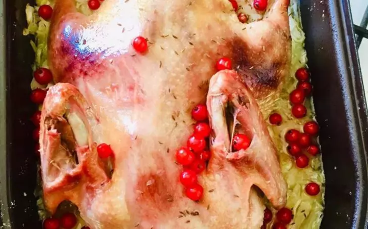 KACHNA NA ZELÍ S RYBÍZEM - LC