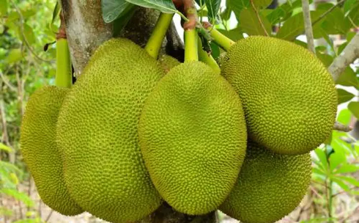 Pikantný veggie jackfruit guláš