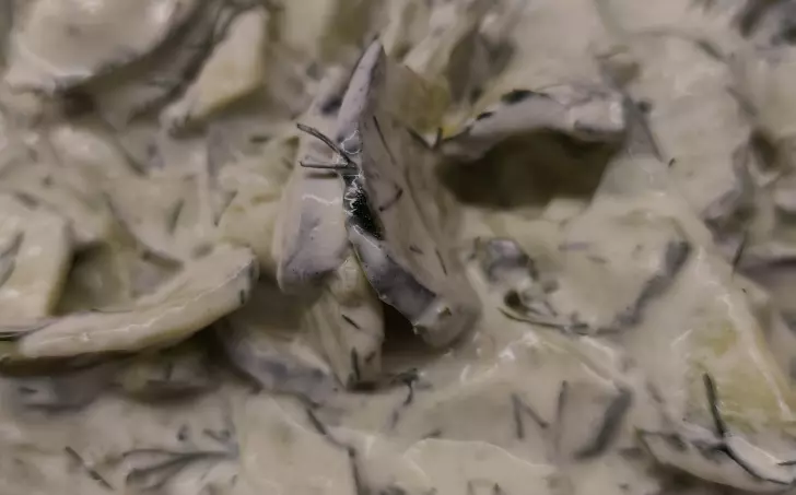 Mizérie - okurkovy salát na polský spusob