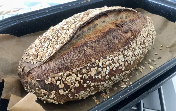 ... třetí den ráno a dopoledne ...
Utěrkami obalenou ošatku s kynoucím chlebem vyndejte z ledničky, pokud ještě potřebuje těsto kynout, nechejte ho dokynout (až několik hodin) v pokojové teplotě.

Jakmile je chléb téměř nakynutý, vložte do trouby pekáč a začněte ji rozehřívat na 225 °C. Nakynutý chléb poznáte pomocí jemného vytlačení důlku prstem. Pokud se těsto rychle vrací zpátky, ještě potřebuje kynout. Jakmile ale důlek zůstane nebo se těsto vrací zpátky jen velmi pomalu, už budete moci chléb péct.

Těsto velmi opatrně překlopte z ošatky na pečicí papír a zlehka ho žiletkou podélně nařízněte (nemá pak tendenci praskat jinde). Vyndejte z trouby nahřáty pekáč a bochník i s papírem do něj přesuňte. Pekáč zaklopte a vložte do trouby. Chléb pečte 30 minut, hotový zní na poklep dutě. Pokud si ještě potřebuje v troubě pobýt, dopečte ho odkrytý. A pak ho vyndejte z trouby a nechejte vychladnout.

Nezapomeňte Šumavu nechat úplně vychladnout, než ji budete krájet. Jestliže chcete měkkou kůrku, bochník ihned po vyndání z trouby zabalte do vlhké utěrky a nechejte ho chladnout v ní. Na plátky nakrájený chléb můžete zamrazit a poté vyndávat jen tolik, kolik právě sníte.