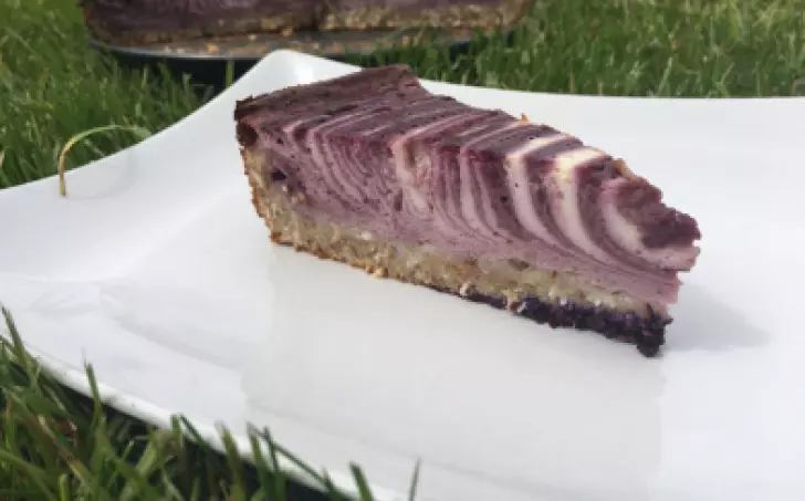 Kefírový dort s borůvkami ( redukční)